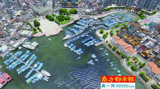 6月12日,惠州,大亚湾澳头港渔船纷纷停靠港口避台风.