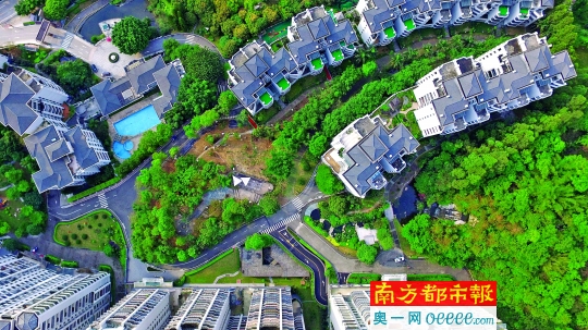 南湖旁豪宅遇"砍树门"