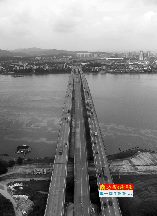 高明大桥旧桥年久失修,目前已经开始围蔽修理.南都记者 郭继江 摄