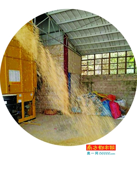dcts082908_b.jpg