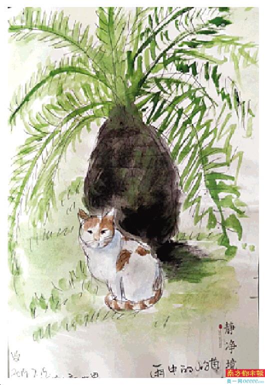 花猫咪咪 南都数字报